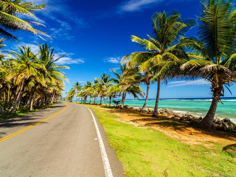 Playa de San Andrés — palmeras y mar turquesa